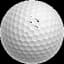 PGA Tour Logo