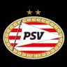 PSV logo