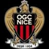 Nice logo