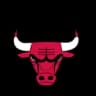 Chicago Bulls logo